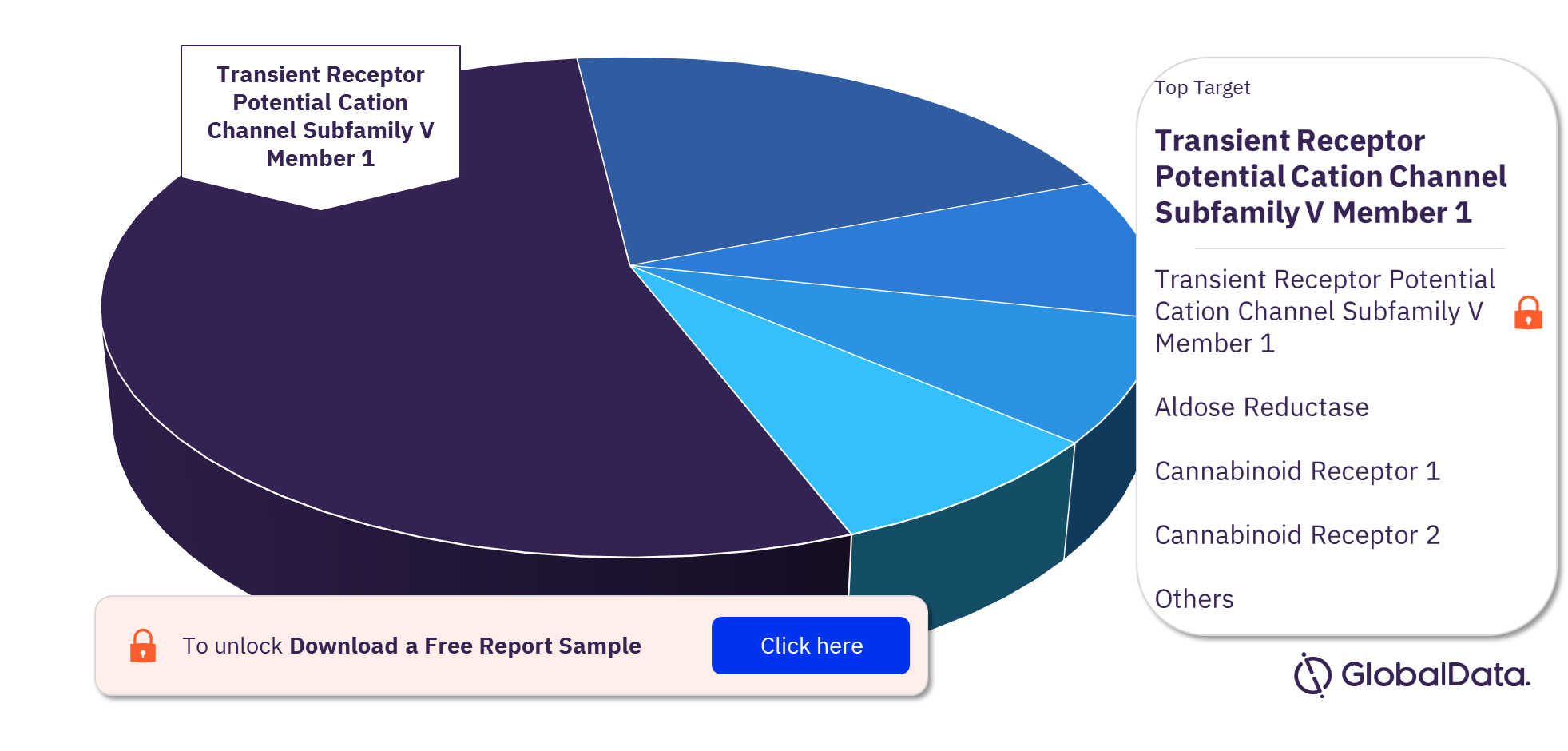 Diabetic Neuropathy Pipeline Drugs Market Analysis, by Targets