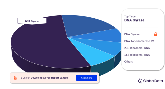 Gonorrhea Pipeline Products Analysis Market by Targets