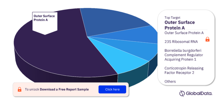 Key Targets in the Lyme Disease Pipeline Drugs Market