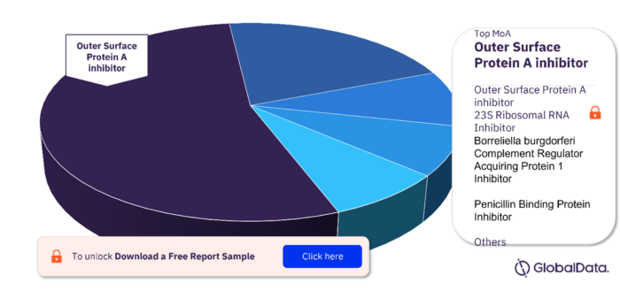 Key mechanisms of action in the Lyme Disease pipeline drugs market