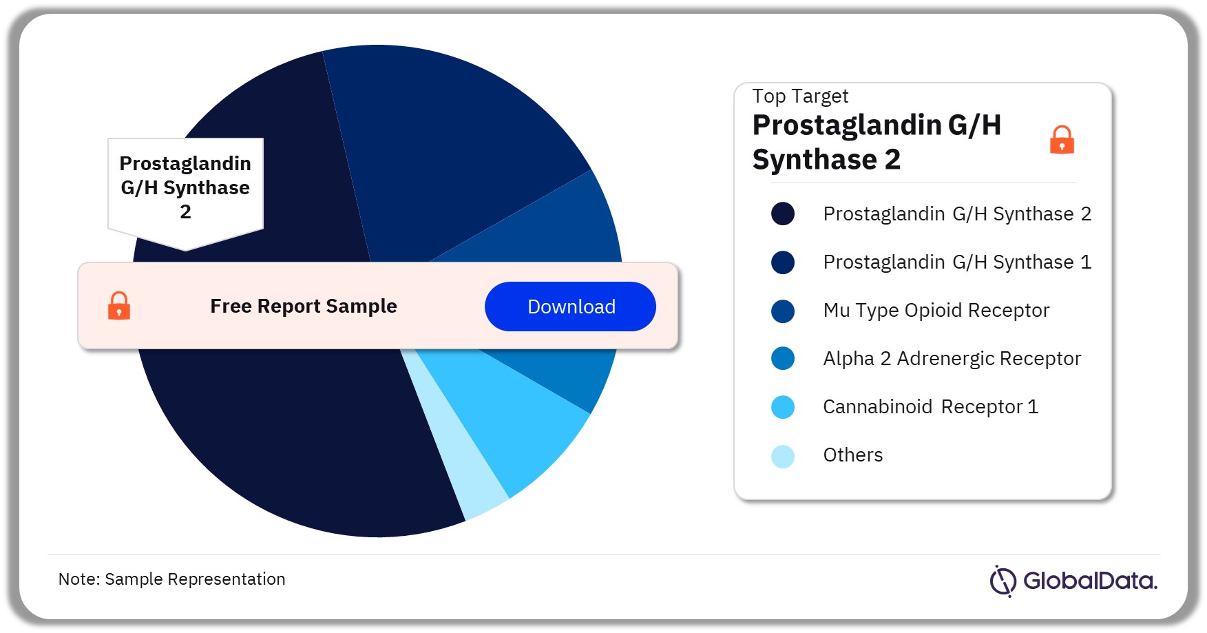 Low Back Pain Pipeline Drugs Market Analysis, by Target, 2022 (%)