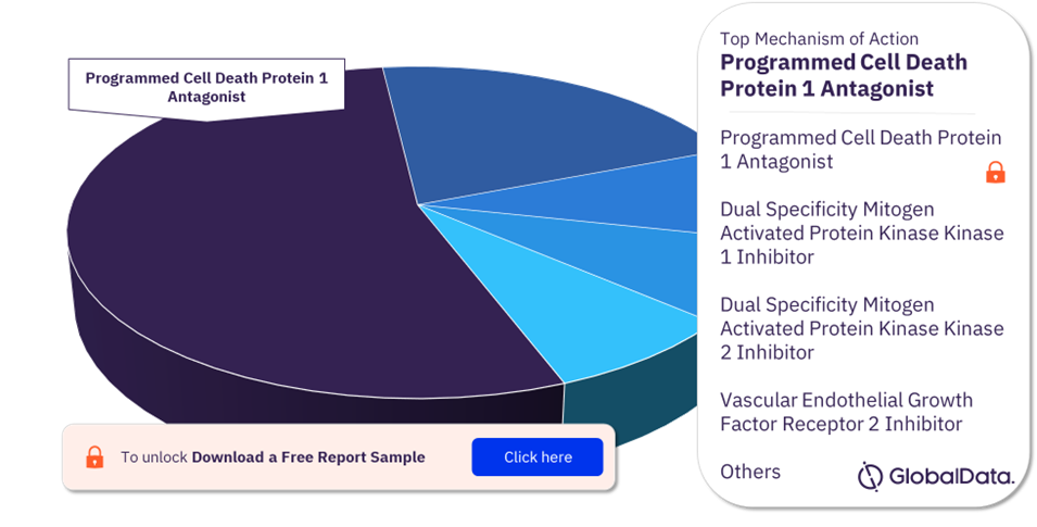 Peripheral Nerve Sheath Tumors Pipeline Drugs Market Analysis, by Mechanisms of Action