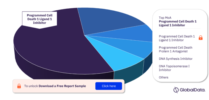 Rectal Cancer Pipeline Drugs Market, by MoA