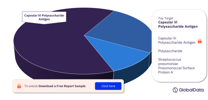 Typhoid Fever Pipeline Market, by Targets