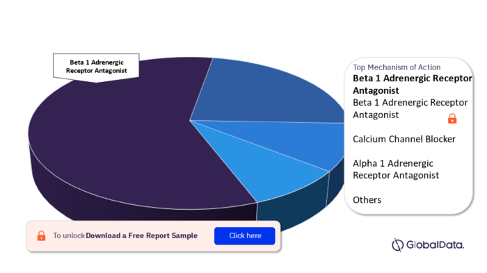 Ventricular Tachycardia Pipeline Drugs Market Analysis, by Mechanism of Actions