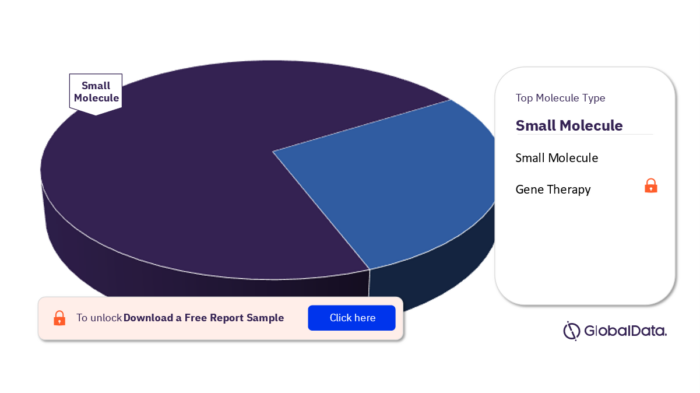Ventricular Tachycardia Pipeline Drugs Market Analysis, by Molecule Types