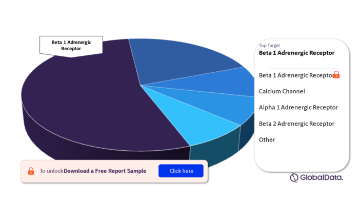 Ventricular Tachycardia Pipeline Drugs Market Analysis, by Targets