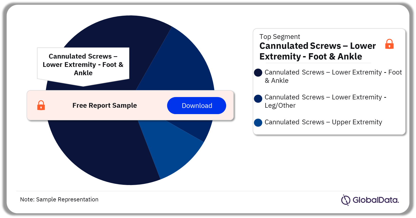 Cannulated Screws Pipeline Market Analysis by Segments, 2023 (%)