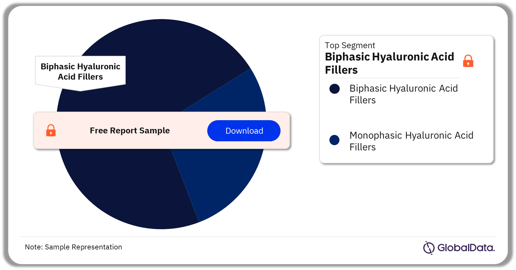Hyaluronic Acid Fillers Pipeline Market Analysis by Segments, 2024 (%)