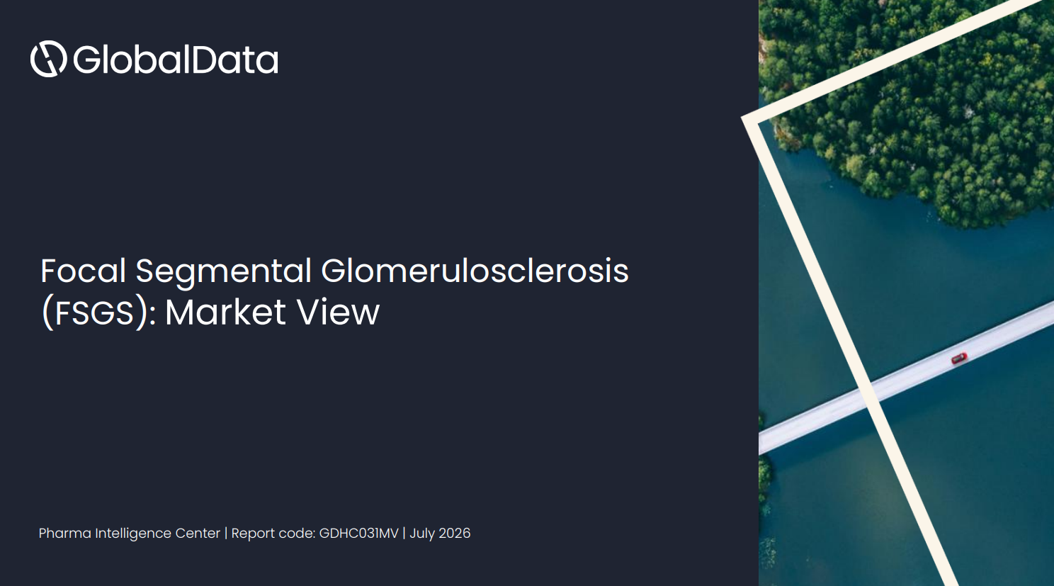 Focal Segmental Glomerulosclerosis (FSGS): Market View, Current and Future Competitive Landscape standard reports