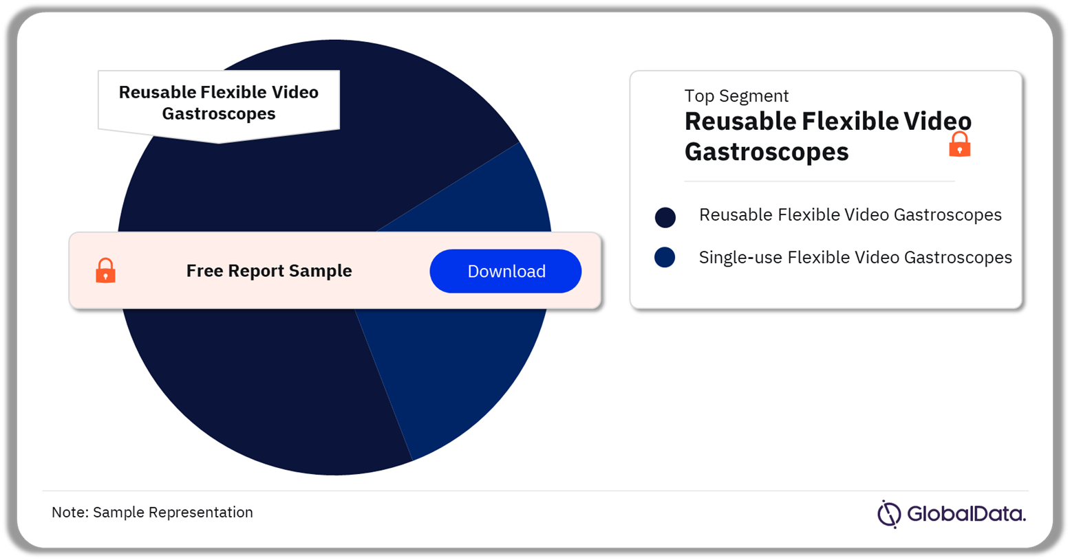 Gastroscopes Market Analysis by Flexible Video Gastroscopes Segments, 2023 (%)