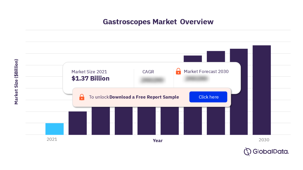 Gastroscopes Market