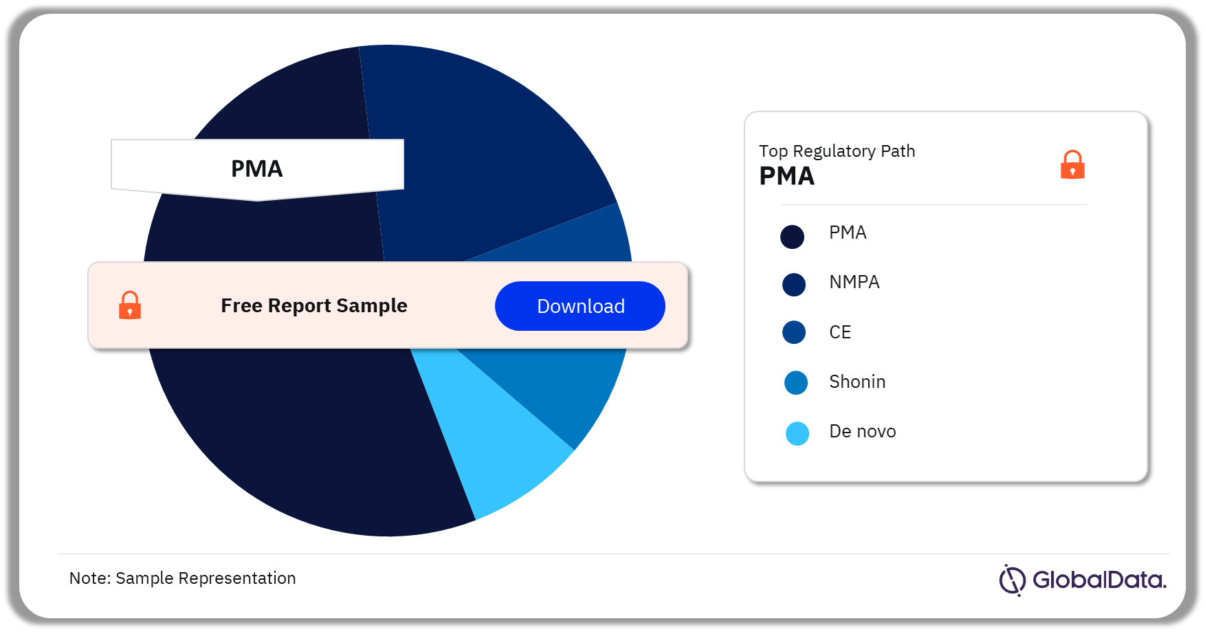 PTCA Drug Coated Balloon (DCB) Catheters Pipeline Market Analysis by Regulatory Paths, 2024 (%)