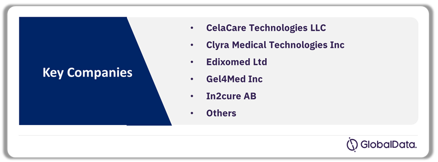 Antimicrobial Hydrogel Dressings Pipeline Market Analysis by Companies, 2024