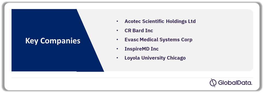 Carotid and Renal Artery Stents Pipeline Market Analysis by Companies, As of November 2024
