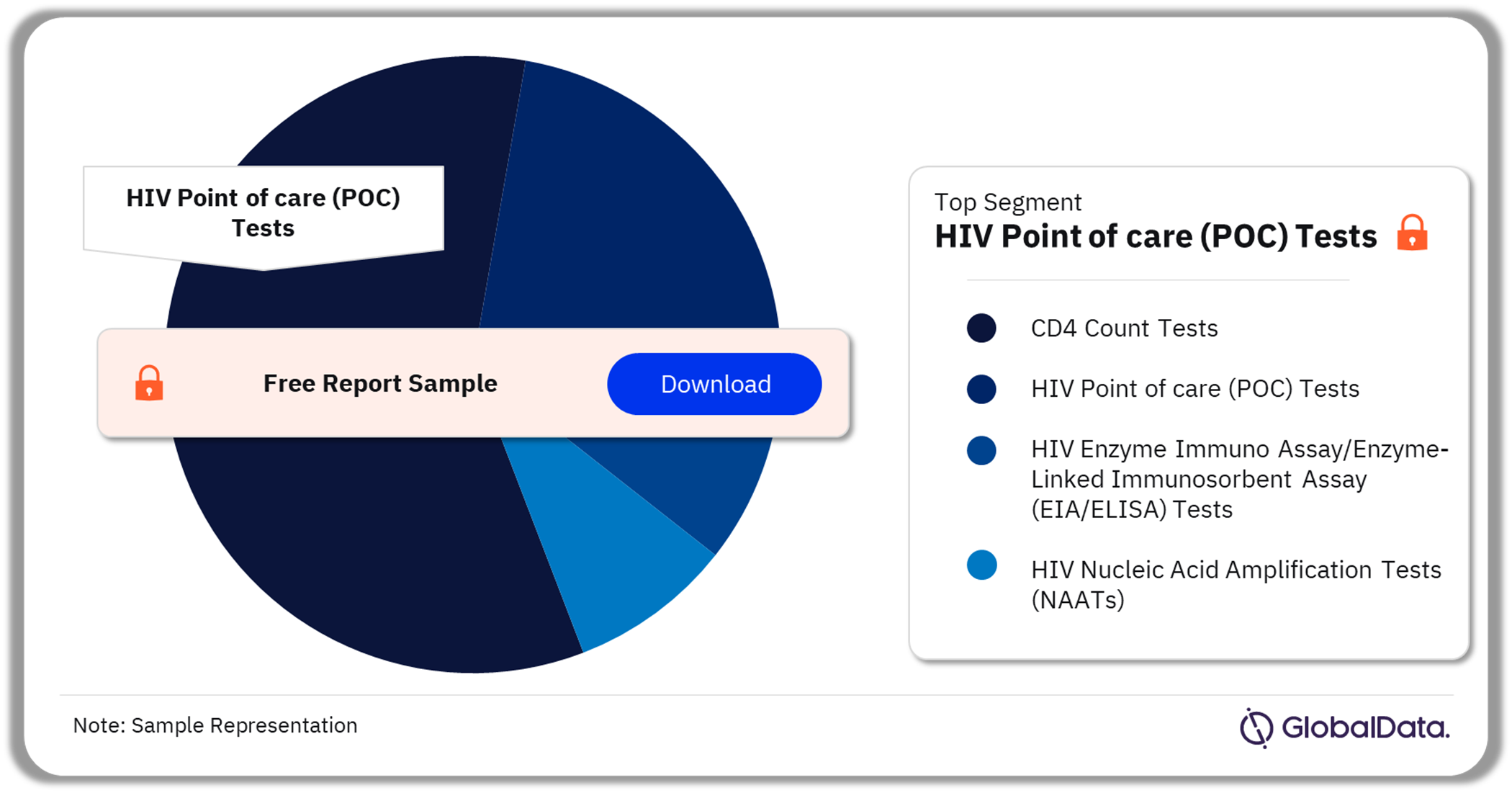 HIV Tests Pipeline Market Analysis by Segments, 2024 (%)