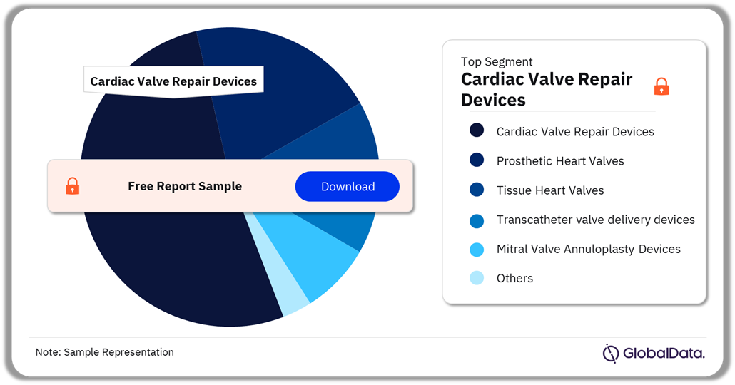 Surgical Heart Valves Pipeline Market Analysis by Segments, 2024 (%)