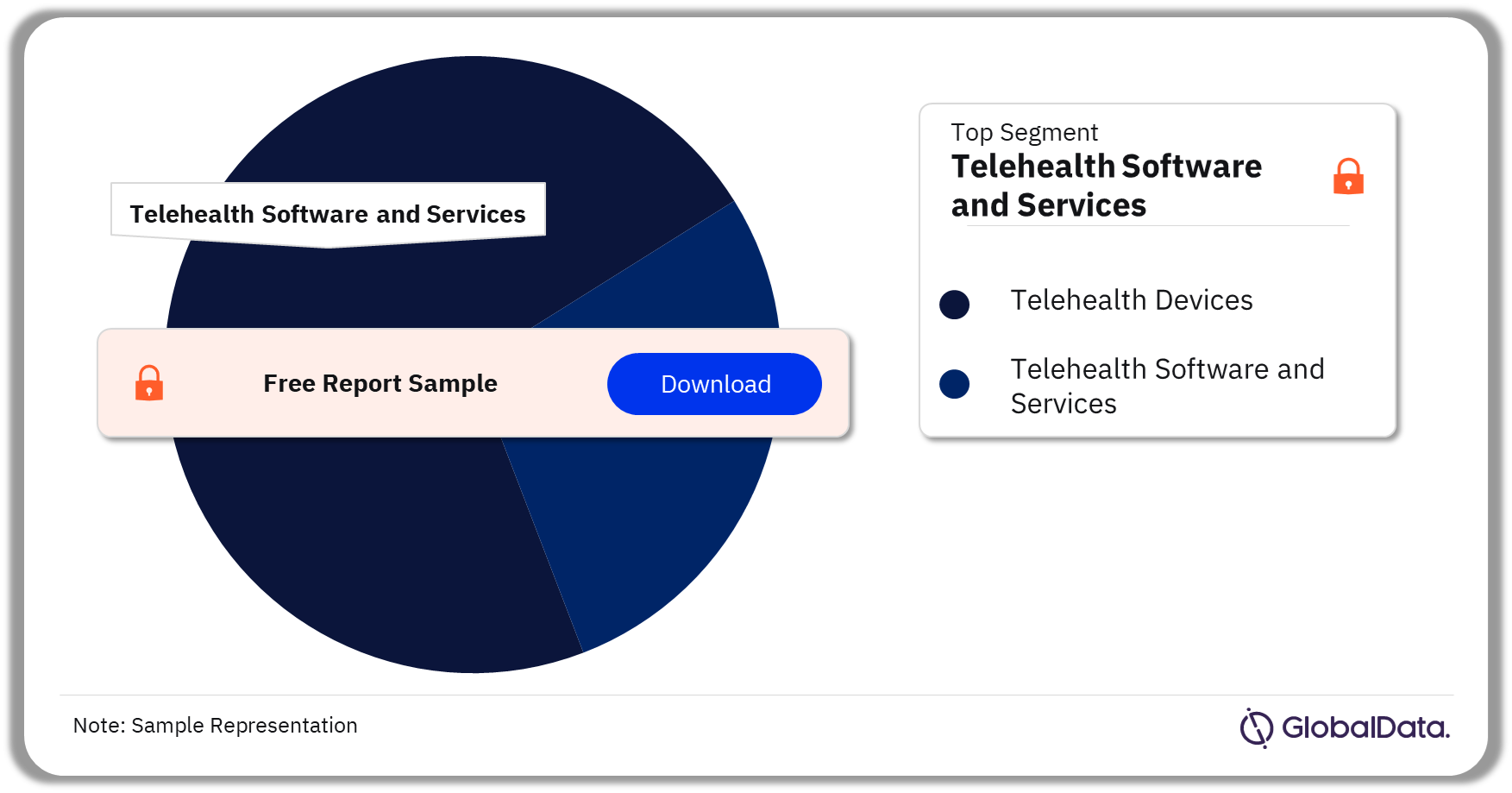 Telehealth Market Analysis by Segments, 2023 (%)