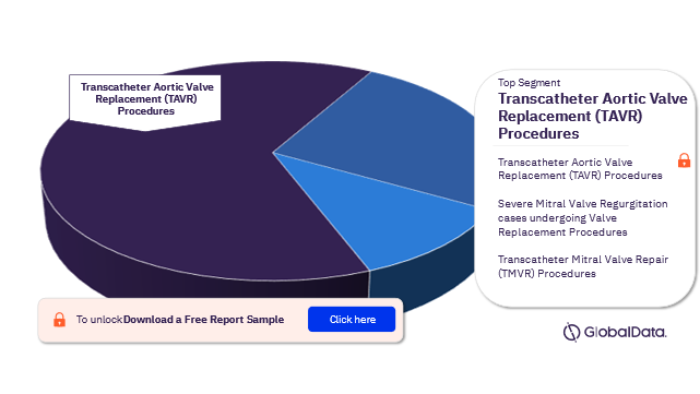 APAC Transcatheter Heart Valve Procedures Market Analysis by Segments