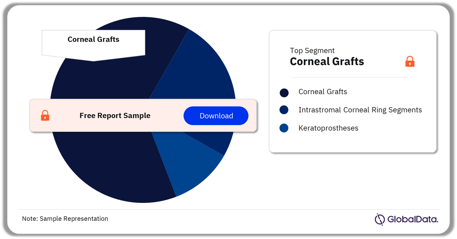 Corneal Implants Market Analysis by Segments, 2023 (%)