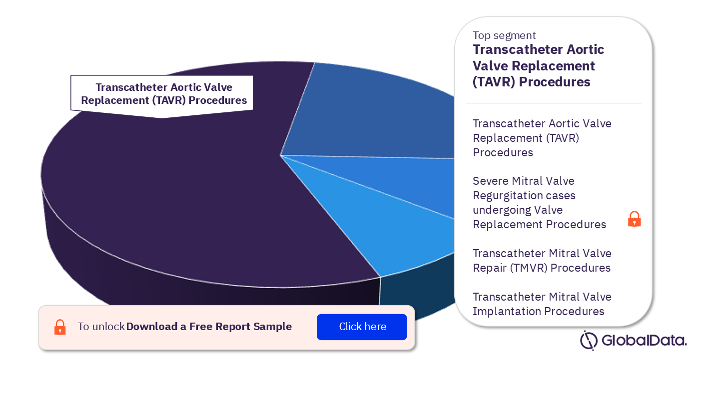 France Transcatheter Heart Valve Procedures Analysis by Segments