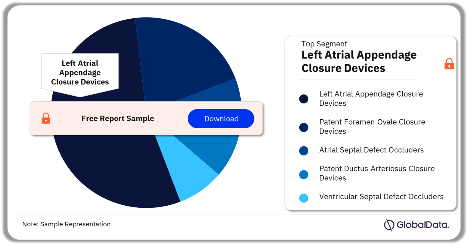 Structural Heart Occlusion Devices Market Analysis by Segments, 2023 (%)