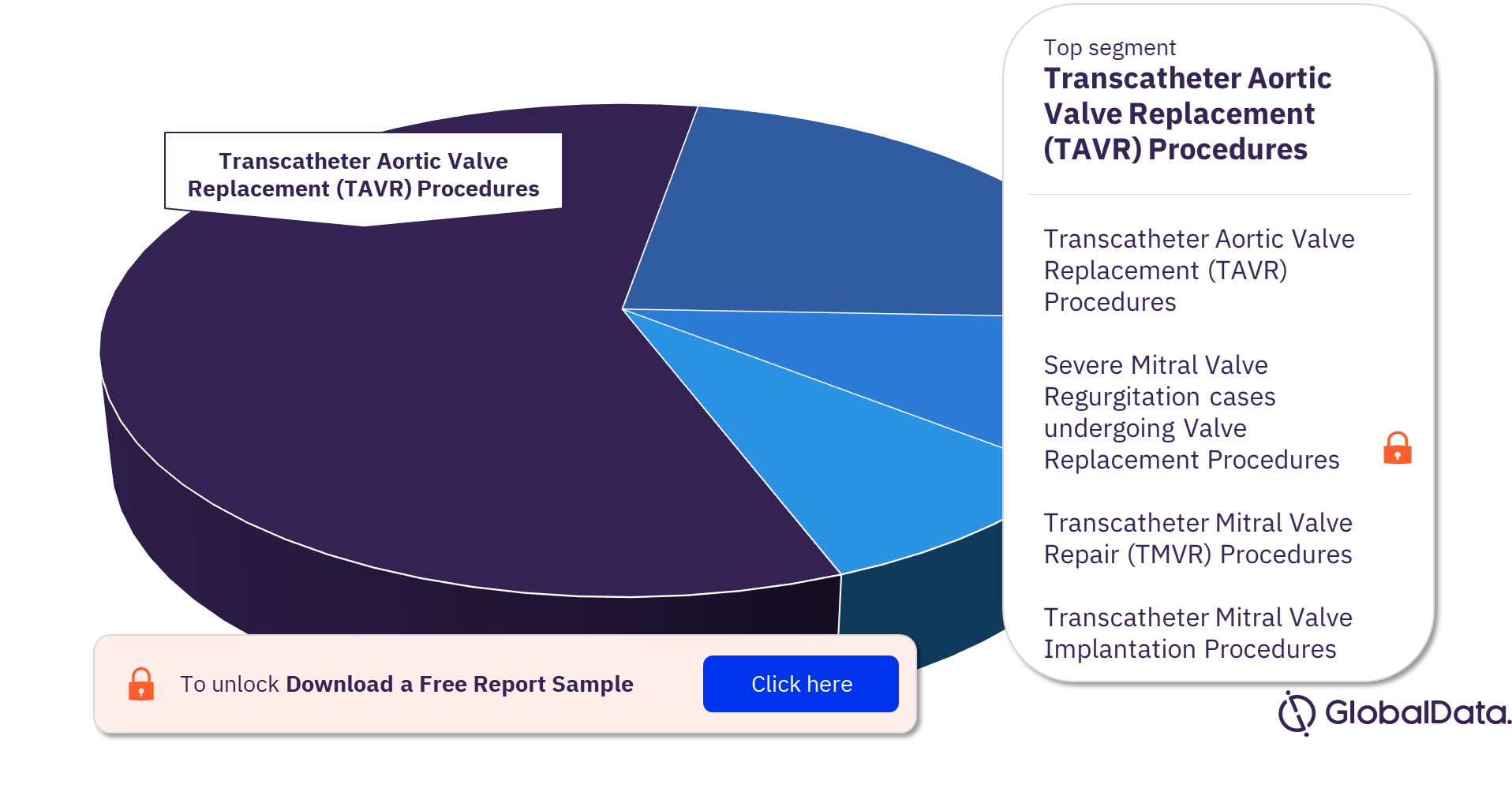 US Transcatheter Heart Valve Procedures Analysis by Segments