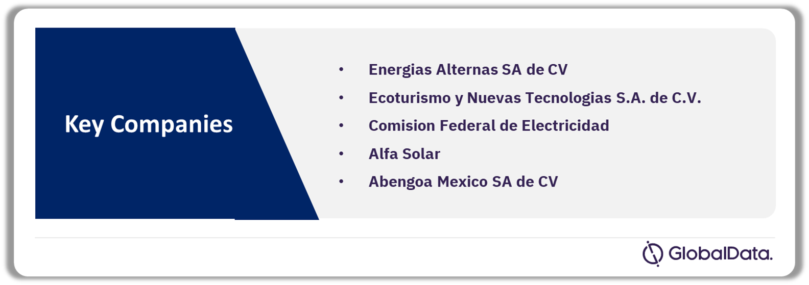 Mexico Solar PV Market Analysis by Companies, 2023