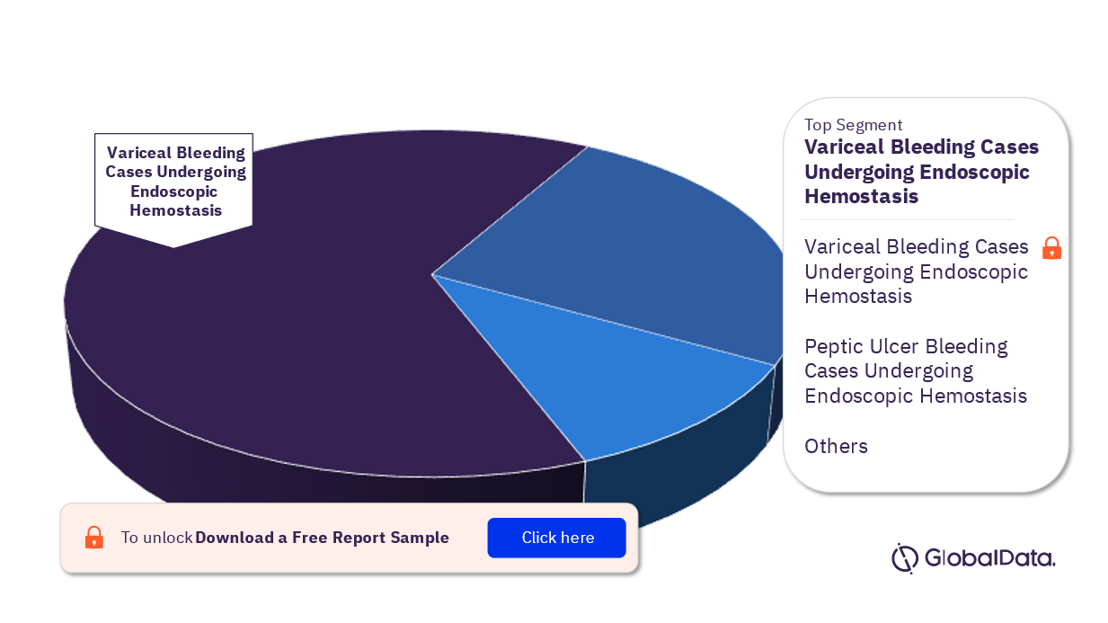 UK Endoscopic Hemostasis Procedures Market Analysis, by Segments, 2022 (%)