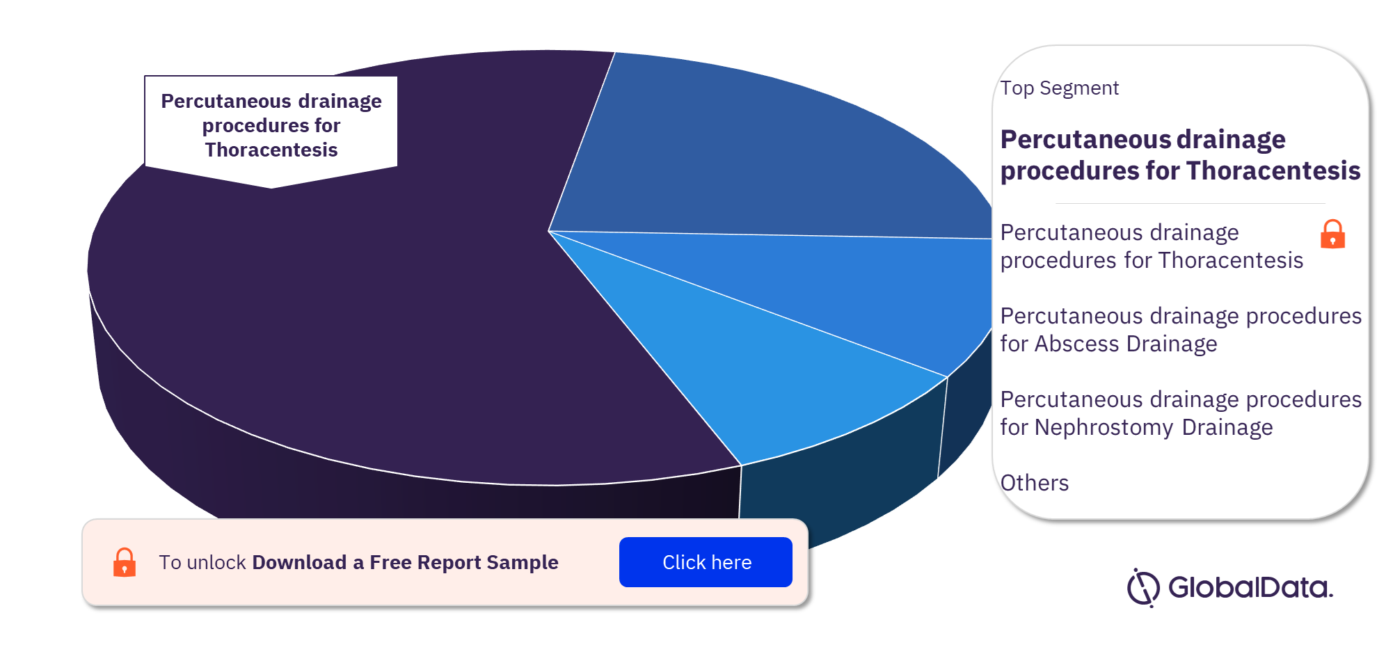 APAC Percutaneous Drainage Procedures Market Analysis by Segments, 2022 (%)