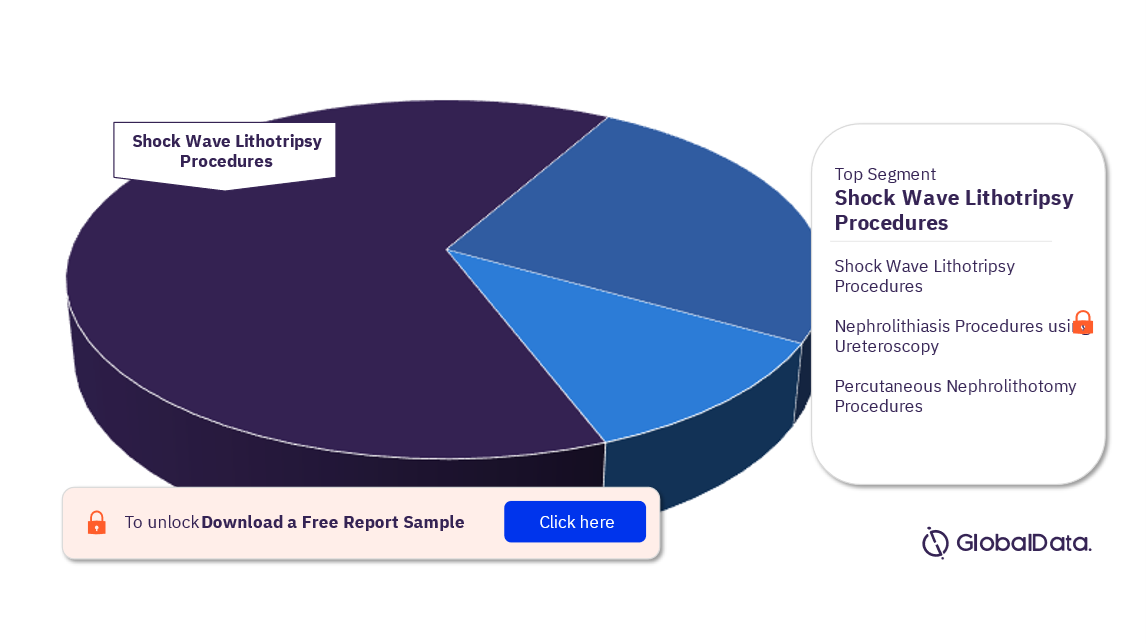 BRIC Nephrolithiasis Procedures Market Analysis by Segments, 2022 (%)