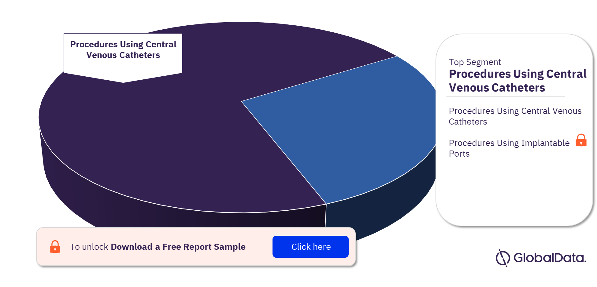 Brazil Drug Delivery Procedures Market by Segments