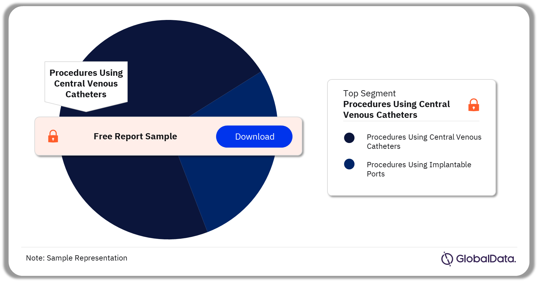 China Drug Delivery Procedures Market Analysis by Segments, 2022 (%)