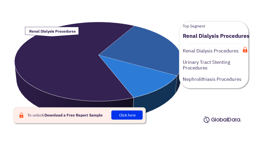 China Nephrology and Urology Procedures Market Analysis by Segments, 2022 (%)