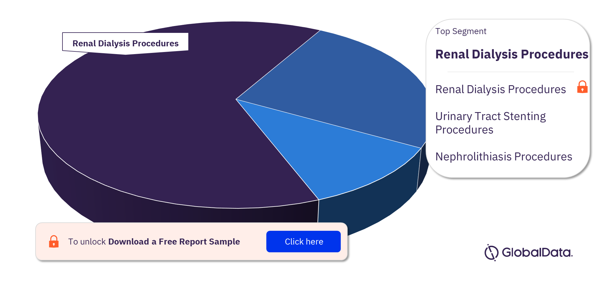 Germany Nephrology and Urology Procedures Market Analysis by Segments, 2022 (%)