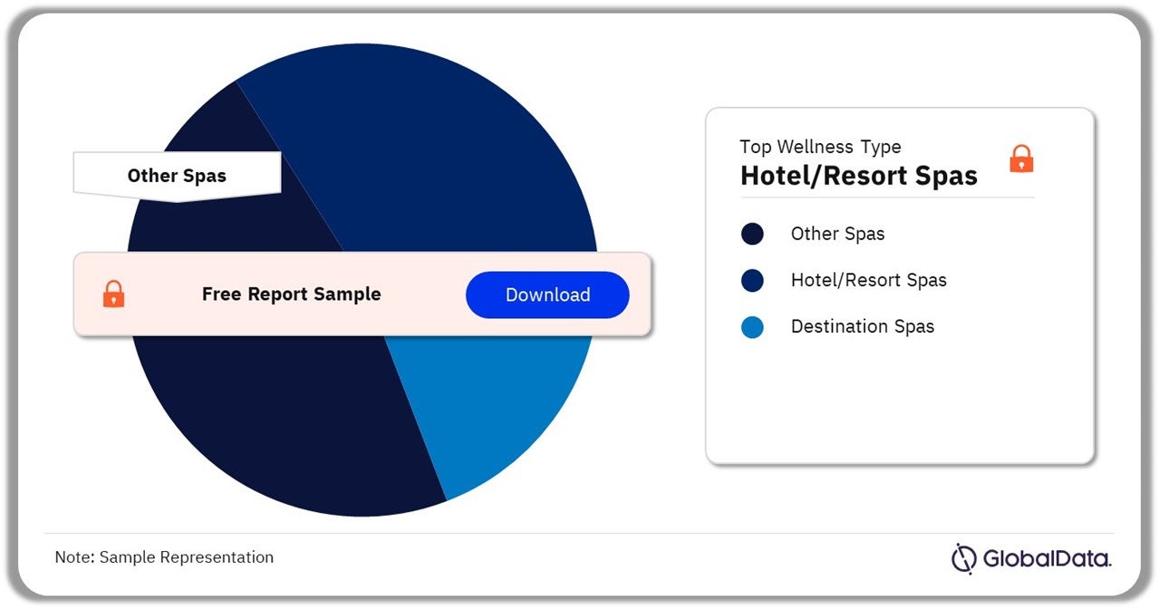 Medical Tourism Market Analysis by Wellness, 2023 (%)