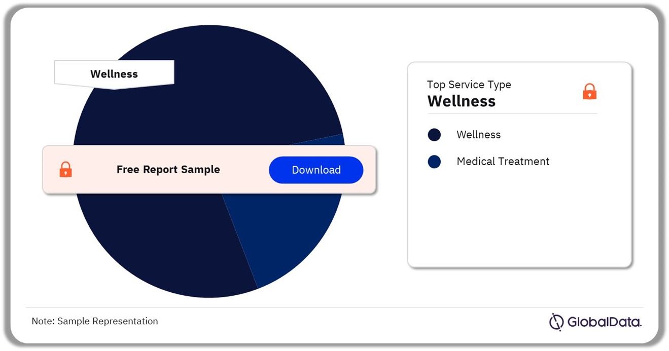 Medical Tourism System Market Analysis by Service Type, 2023 (%)