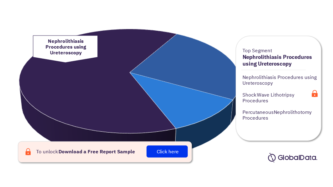 North America Nephrolithiasis Procedures Market Analysis by Segments, 2022 (%)