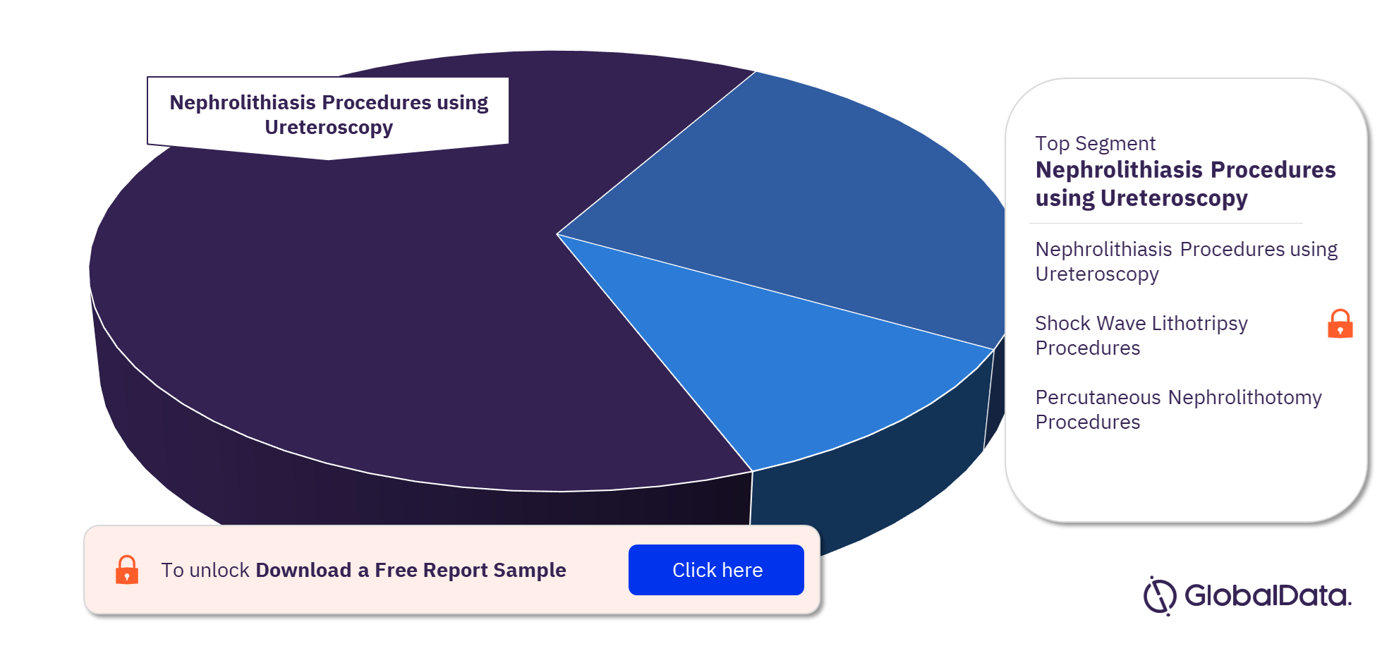 Spain Nephrolithiasis Procedures Market by Segments