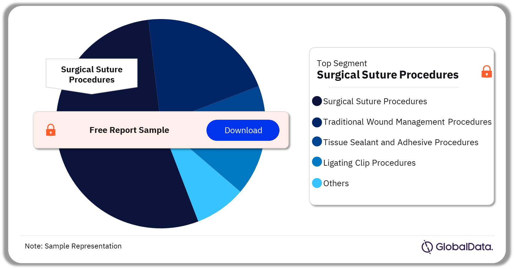 Australia Wound Care Management Procedures Market Analysis by Segments, 2022 (%)
