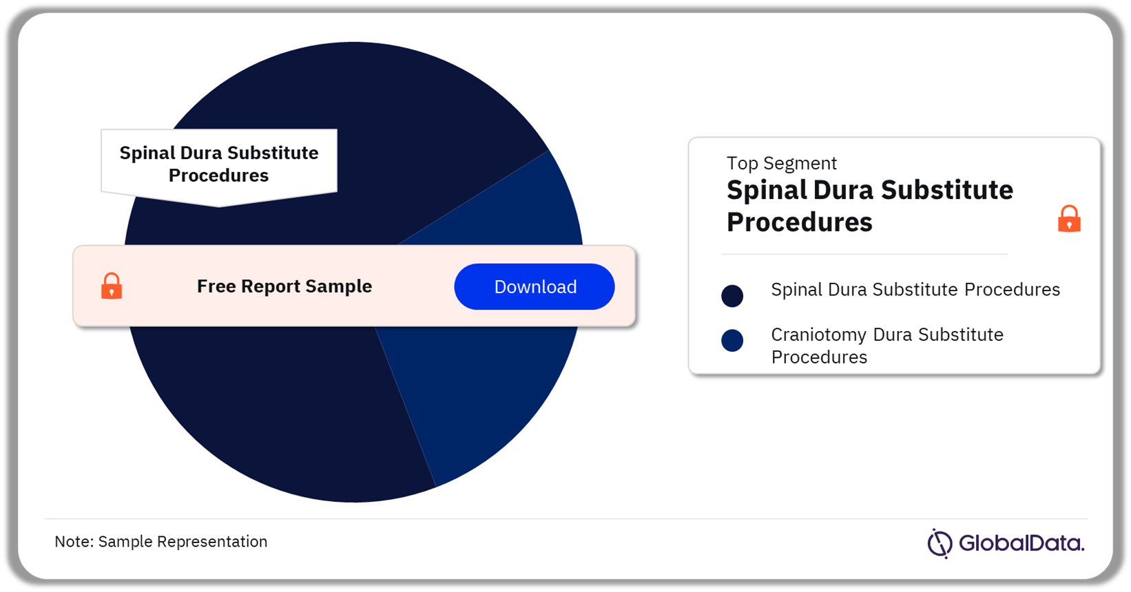 China Dura Substitute Procedures Market Analysis by Segmentation, 2022 (%)