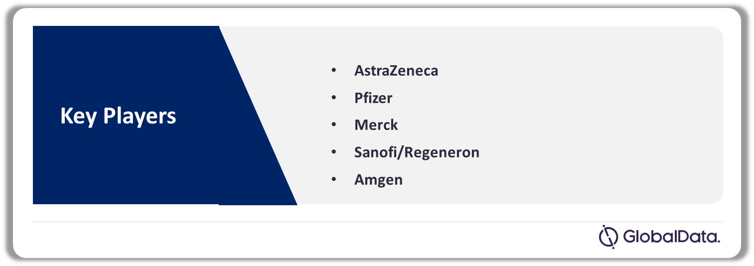 Dyslipidemia Market Analysis by Companies, 2022