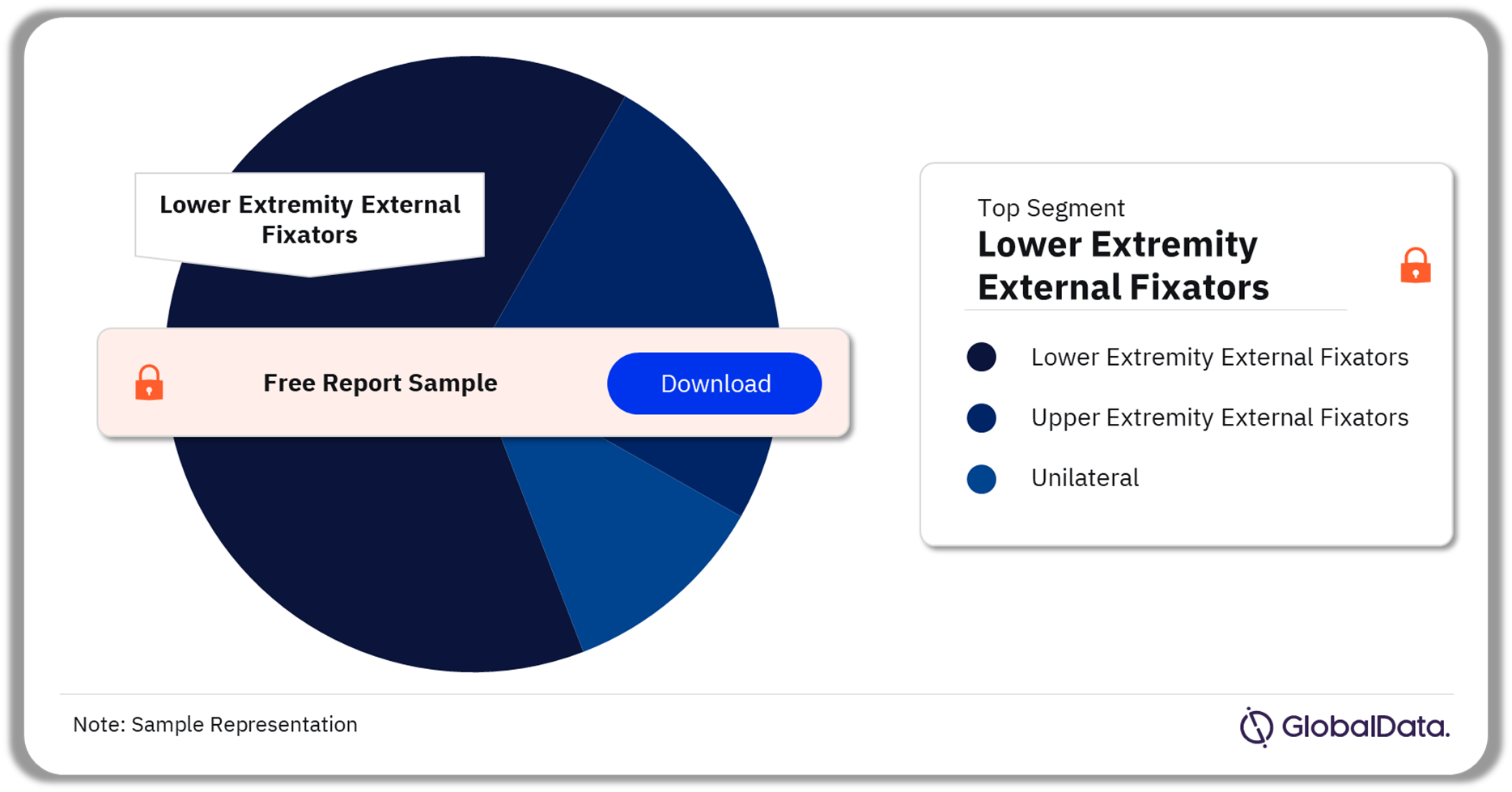 External Fixators Pipeline Market Analysis by Segments, 2023 (%)