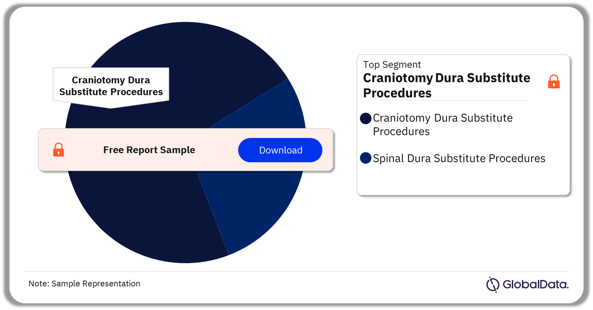 France Craniotomy Dura Substitute Procedures Market Analysis by Segments, 2022 (%)