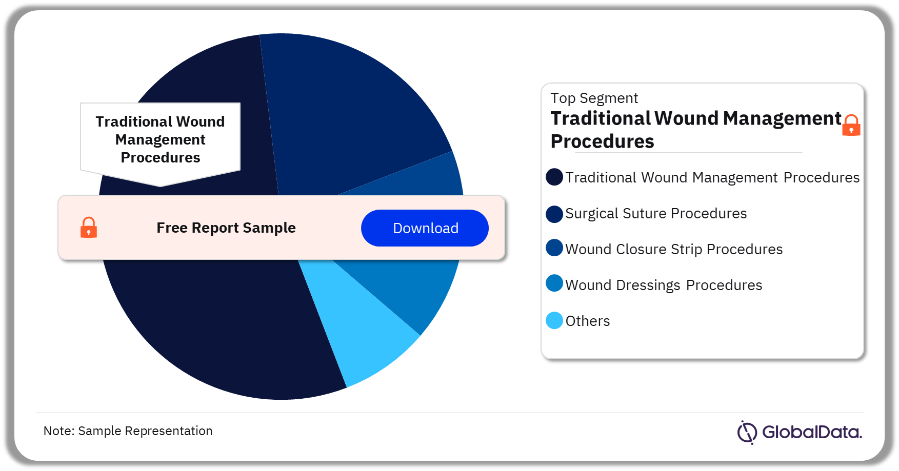 Japan Wound Care Management Procedures Market Analysis by Segments, 2022 (%)