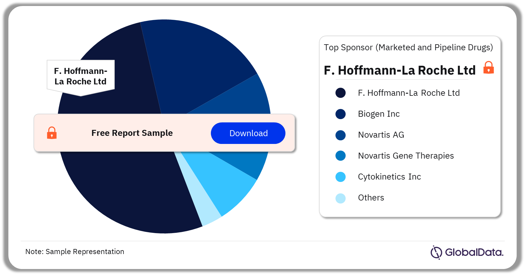 SMA Marketed and Pipeline Drugs Market Analysis by Sponsors, 2023 (%)