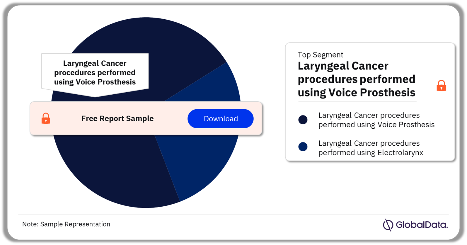 APAC Speech Aid Devices Procedures Market Analysis by Segments, 2022 (%)