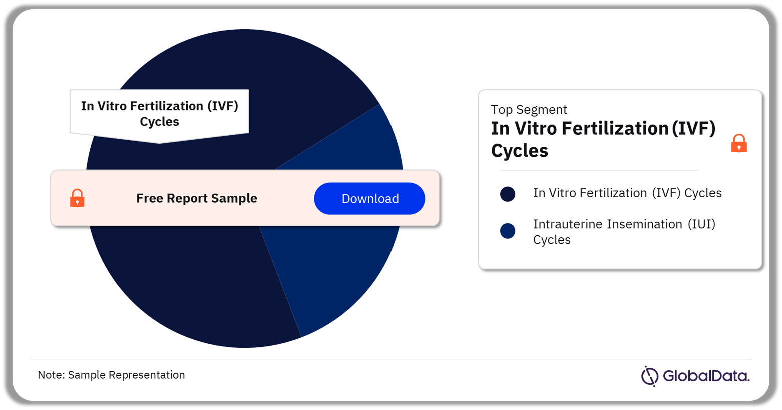 France ART Procedures Market Analysis by Segments, 2022 (%)
