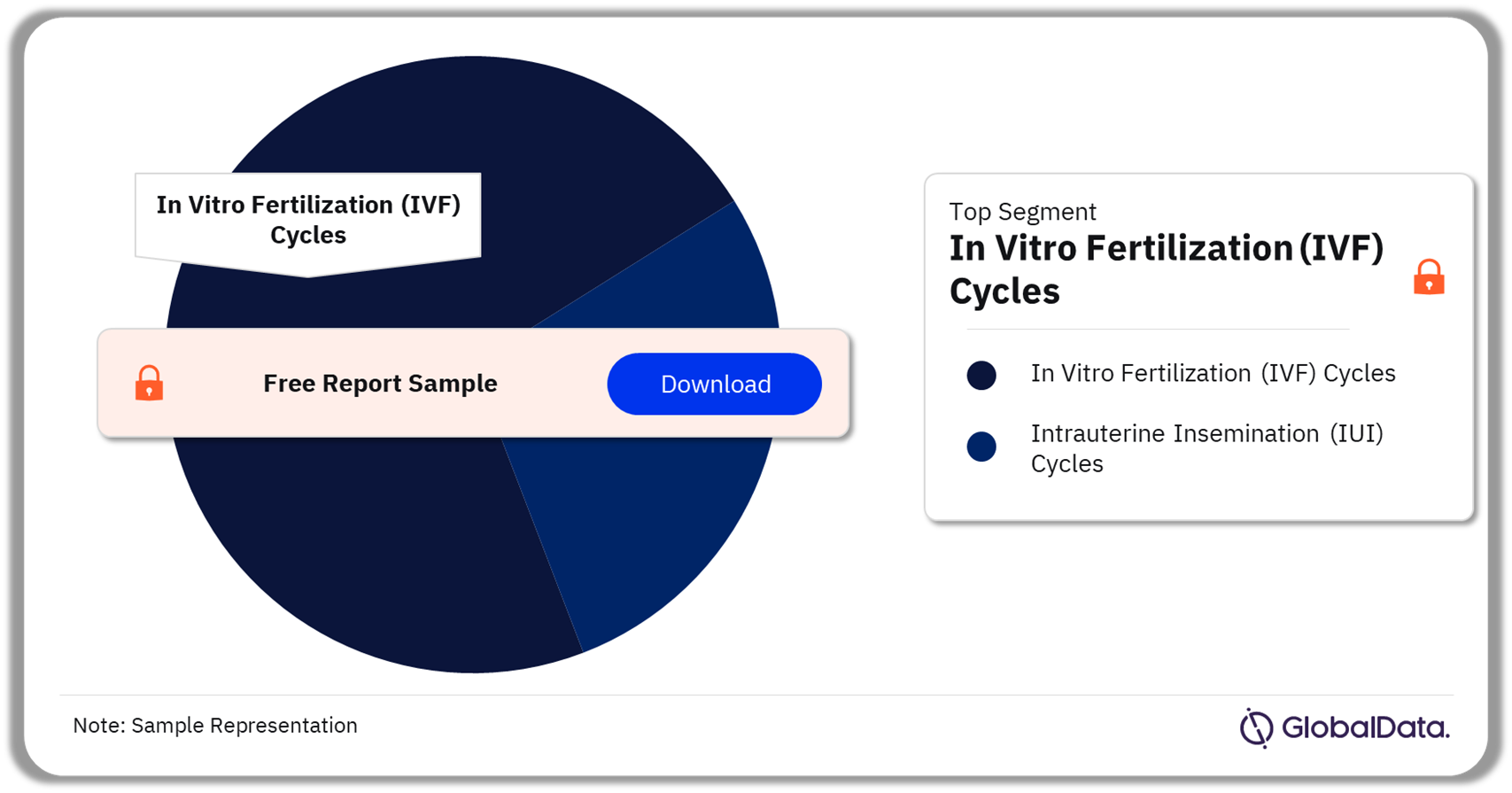 Japan ART Procedures Market Analysis by Segments, 2022 (%)