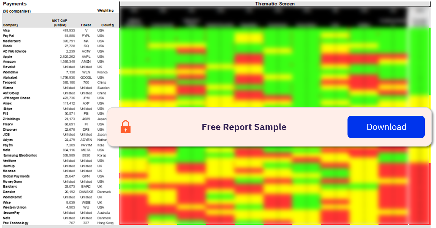 Payments Sector Scorecard – Thematic Screen